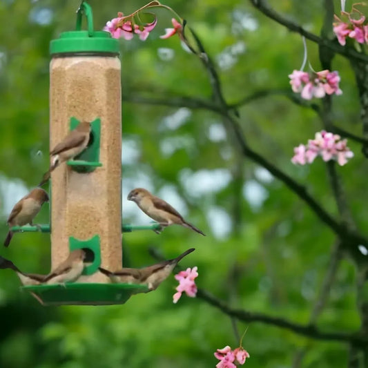 Durable Hanging Bird Feeder for Outdoor Use – Attracts Wild Birds