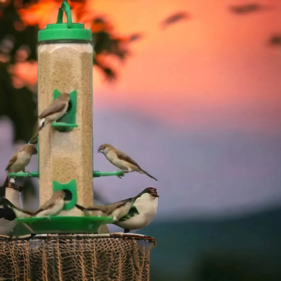 Durable Hanging Bird Feeder for Outdoor Use – Attracts Wild Birds