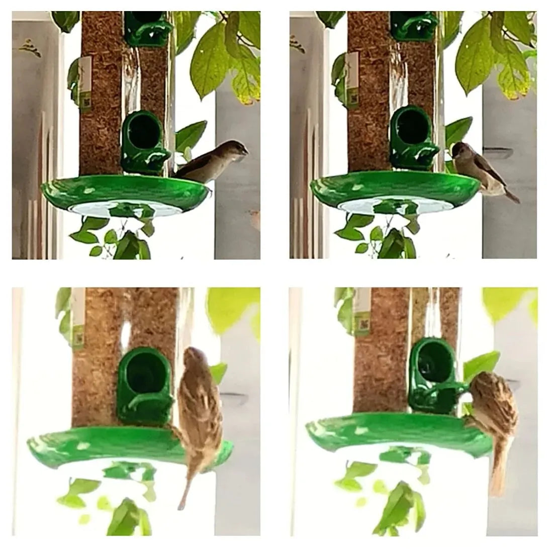 Durable Hanging Bird Feeder for Outdoor Use – Attracts Wild Birds