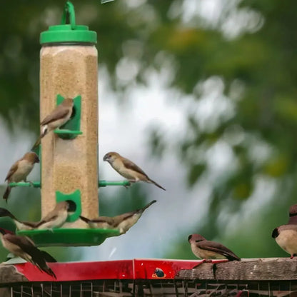 Durable Hanging Bird Feeder for Outdoor Use – Attracts Wild Birds